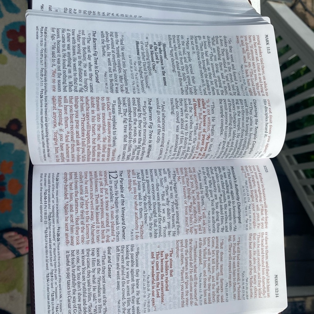 NWT Holman Christian Standard Bible. So pretty 🌸 - Picture 8 of 14